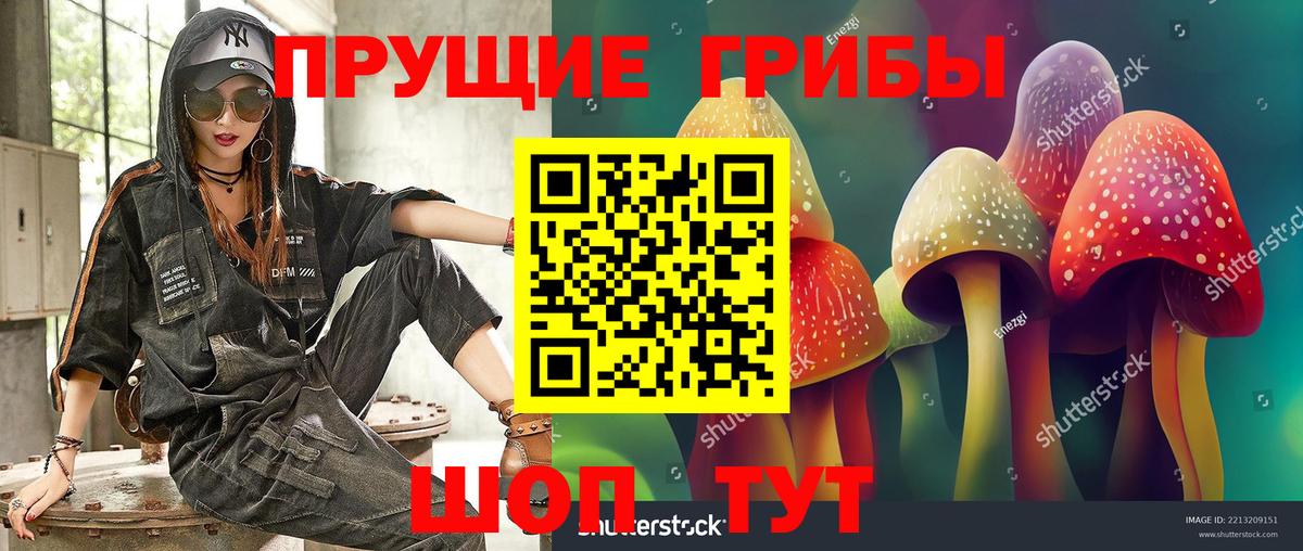 Псилоцибиновые грибы Magic Shrooms  Псилоцибиновые грибы мухоморы  Копейск  наркотики  Вход с VPN 