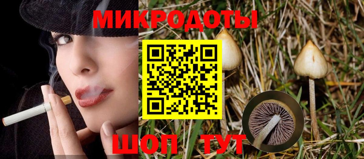 Галлюциногенные грибы Psilocybe Копейск